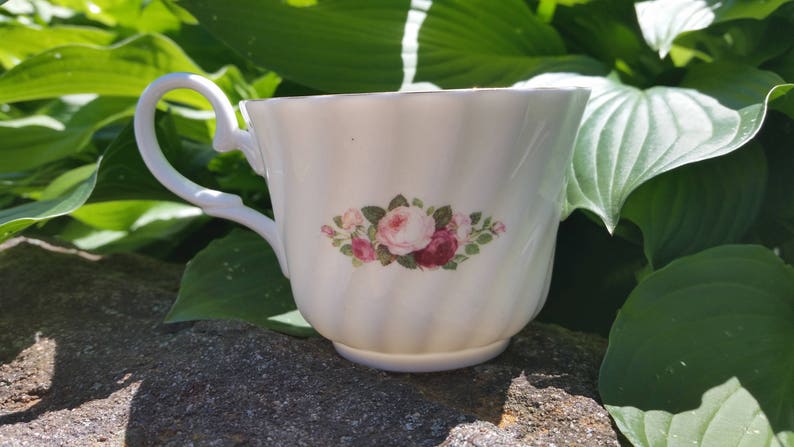 Made In England Royale Garden Staffordshire Tea Cup And Saucer