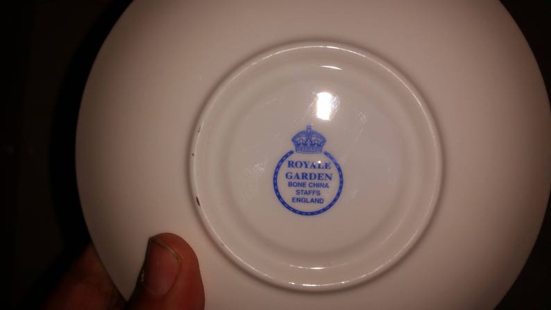 Made In England Royale Garden Staffordshire Tea Cup And Saucer