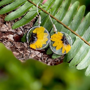 May include: Round earrings with pressed yellow sunflowers set in clear resin, with silver-coloured hooks. The earrings are shown against green leaves and a brown branch, creating a natural aesthetic.