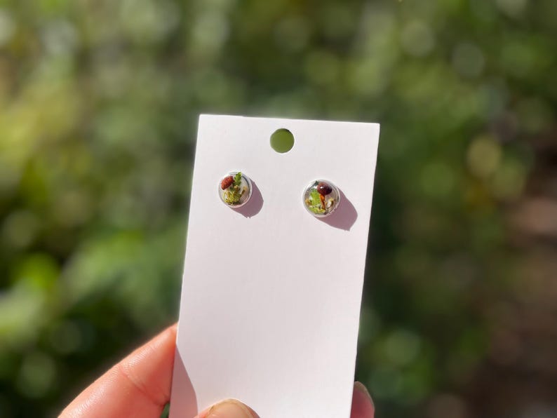 May include: A pair of small, round earrings with a clear resin base and a pressed flower design. The flowers are green, brown, and white.