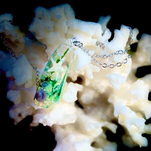 K&ouml;nnte beinhalten: Eine silberne Halskette mit einem rechteckigen Anh&auml;nger, der mit kleinen Muscheln, gr&uuml;nen und wei&szlig;en Akzenten und einer lila Perle gef&uuml;llt ist. Der Anh&auml;nger h&auml;ngt vor einem wei&szlig;en Korallenhintergrund mit schwarzem Hintergrund.