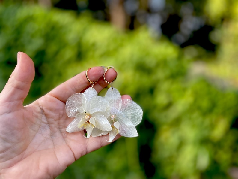 Pode incluir: Um par de brincos com p&eacute;talas de orqu&iacute;dea transl&uacute;cidas em tom branco-sujo, presas a argolas finas de metal dourado. As p&eacute;talas possuem uma textura delicada e nervurada com um centro amarelo p&aacute;lido, criando uma est&eacute;tica bot&acirc;nica leve.