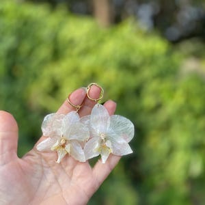 Pode incluir: Um par de brincos com p&eacute;talas de orqu&iacute;dea transl&uacute;cidas de cor branca p&aacute;lida e centros amarelos delicados. Cada flor est&aacute; presa a um aro de metal fino e dourado, criando uma apar&ecirc;ncia leve e bot&acirc;nica para estes acess&oacute;rios florais.