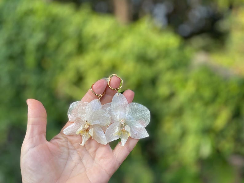 Pode incluir: Um par de brincos com p&eacute;talas de orqu&iacute;dea transl&uacute;cidas de cor branca p&aacute;lida e centros amarelos delicados. Cada flor est&aacute; presa a um aro de metal fino e dourado, criando uma apar&ecirc;ncia leve e bot&acirc;nica para estes acess&oacute;rios florais.