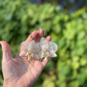 Pode incluir: Um par de brincos de argola com p&eacute;talas de orqu&iacute;dea transl&uacute;cidas em tom branco sujo. Cada brinco est&aacute; suspenso numa argola fina de metal dourado, exibindo texturas florais delicadas e nervuradas e um pequeno detalhe central tipo p&eacute;rola.
