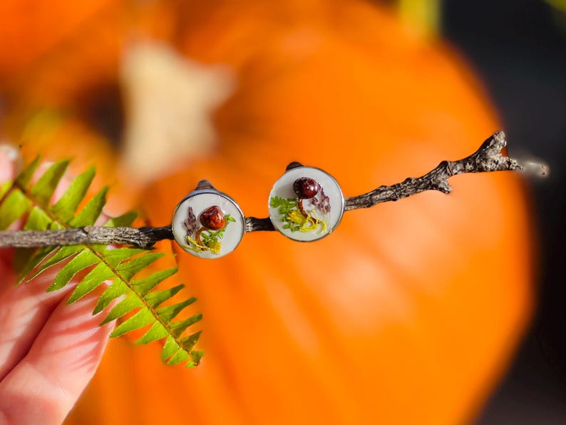 Puede incluir: Un par de pendientes de plata con fondo blanco y un dise&ntilde;o de flores prensadas. Los pendientes est&aacute;n en una rama con hojas verdes y una calabaza naranja borrosa en el fondo.