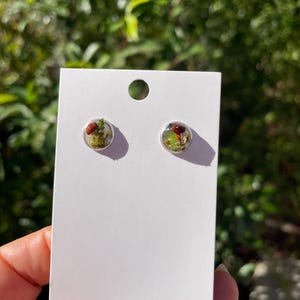 May include: A pair of silver stud earrings with a clear resin dome containing a small mushroom and green moss.