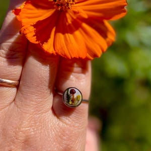 May include: A silver ring with a clear resin dome featuring a pressed flower and mushroom design. The ring is on a person's finger.