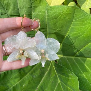 Pode incluir: Um par de brincos pendentes com p&eacute;talas de orqu&iacute;dea transl&uacute;cidas em tom branco sujo, presas a aros met&aacute;licos finos e circulares em tom dourado. As p&eacute;talas possuem uma textura delicada e nervurada com centros subtis em amarelo p&aacute;lido.