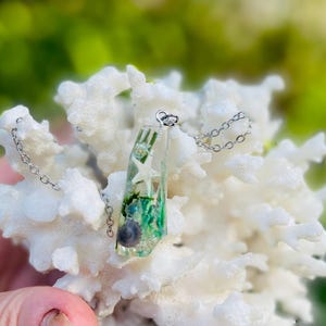 K&ouml;nnte beinhalten: Eine Halskette mit Anh&auml;nger aus klarem Harz und einer silbernen Kette. Der Anh&auml;nger enth&auml;lt einen kleinen Seestern, gr&uuml;ne Algen und eine Muschel. Die Halskette wird auf einer wei&szlig;en, korallenartigen Struktur pr&auml;sentiert.