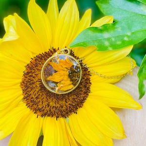 May include: A gold pendant necklace featuring a clear, circular resin charm with dried yellow flowers. The pendant is displayed on a bright yellow sunflower with a brown centre and green leaves.