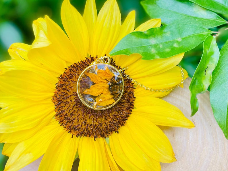 May include: A gold pendant necklace featuring a clear, circular resin charm with dried yellow flowers. The pendant is displayed on a bright yellow sunflower with a brown centre and green leaves.
