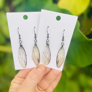 Real Cicada Wing Earrings Gold or Silver: Birthstone Personalized Insect Animal Jewelry Resin