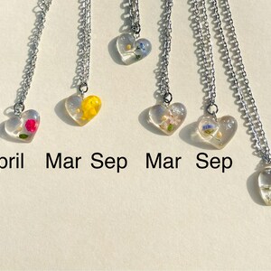 Puede incluir: Cinco collares de plata con colgantes en forma de coraz&oacute;n que contienen flores prensadas. Los colgantes son transparentes y muestran las flores en detalle. Los collares est&aacute;n etiquetados con los meses de abril, marzo, septiembre, marzo y septiembre.