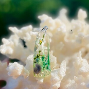 K&ouml;nnte beinhalten: Ein klarer Harzanh&auml;nger mit silberner &Ouml;se, der eine Miniatur-Unterwasserszene zeigt. Der Anh&auml;nger enth&auml;lt wei&szlig;e Seesterne, gr&uuml;ne Algen und eine kleine Muschel. Der Anh&auml;nger wird auf einem wei&szlig;en Korallenhintergrund pr&auml;sentiert.