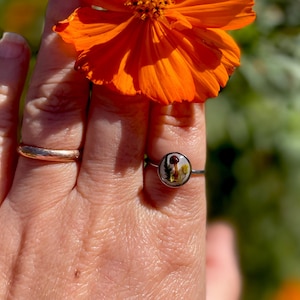 May include: A silver ring with a clear resin setting featuring a pressed flower design. The flower is a light brown color with a yellow center.