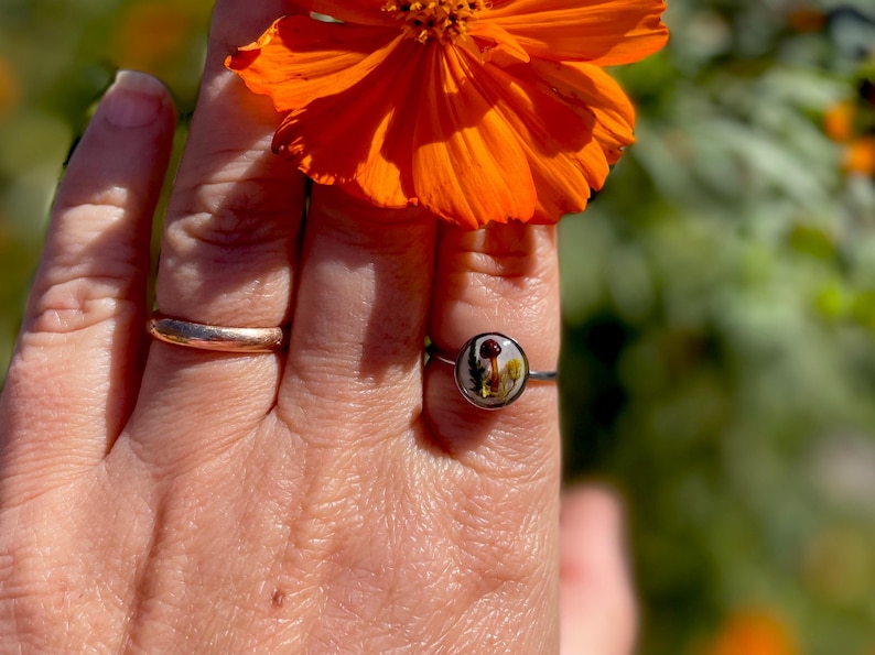 May include: A silver ring with a clear resin setting featuring a pressed flower design. The flower is a light brown color with a yellow center.