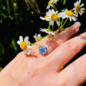 K&ouml;nnte beinhalten: Ein silberner Ring mit einer blauen Vergissmeinnicht-Blume, die in Harz gegossen ist. Der Ring wird an einer Hand getragen, die einen Strau&szlig; wei&szlig;er G&auml;nsebl&uuml;mchen h&auml;lt.