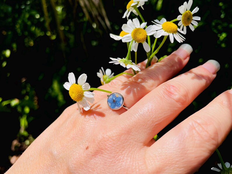 K&ouml;nnte beinhalten: Ein silberner Ring mit einer blauen Vergissmeinnicht-Blume, die in Harz gegossen ist. Der Ring wird an einer Hand getragen, die einen Strau&szlig; wei&szlig;er G&auml;nsebl&uuml;mchen h&auml;lt.