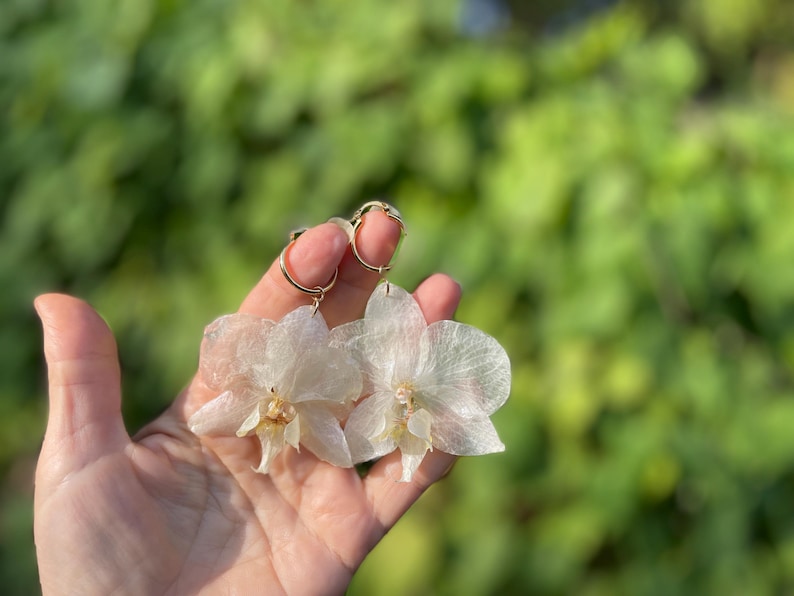 Pode incluir: Um par de brincos com p&eacute;talas de orqu&iacute;dea transl&uacute;cidas em tom branco-sujo, presas a argolas circulares douradas. As p&eacute;talas delicadas e de formato org&acirc;nico t&ecirc;m um brilho subtil e uma apar&ecirc;ncia suave e em camadas, suspensas por an&eacute;is de metal.