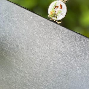 May include: A gold owl bookmark with a white background and a mushroom design. The owl is perched on a grey leather surface.