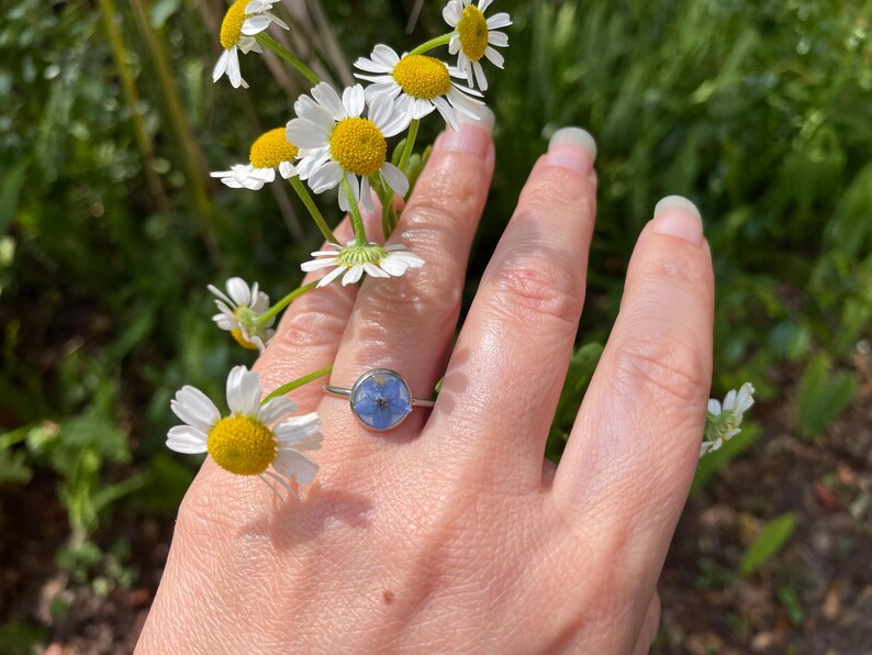 K&ouml;nnte beinhalten: Ein silberner Ring mit einer blauen Blume, die in eine klare Harzfassung gepresst ist. Der Ring wird an einem Finger getragen, im Hintergrund sind wei&szlig;e G&auml;nsebl&uuml;mchen zu sehen.