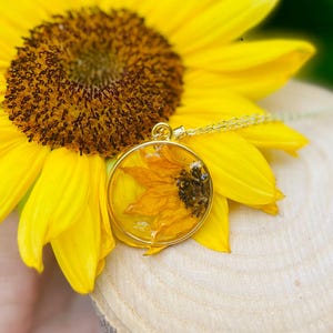 May include: A gold pendant necklace with a dried sunflower encased in clear resin. The round pendant hangs on a delicate chain and rests on a bright yellow sunflower. The necklace is a nature-inspired accessory.