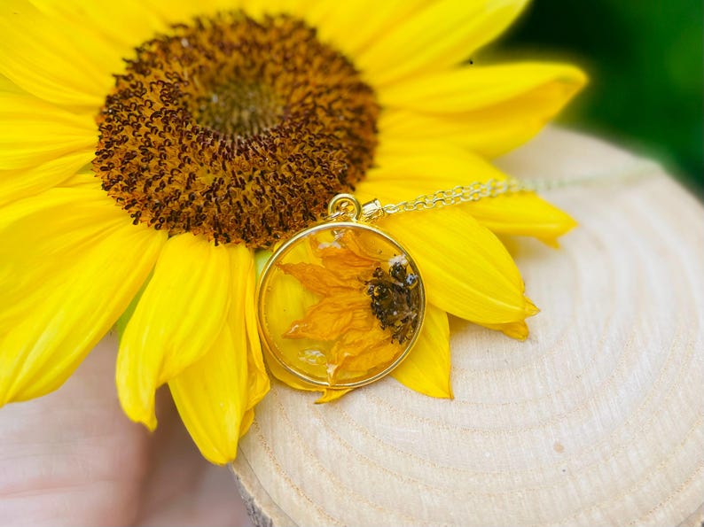 May include: A gold pendant necklace with a dried sunflower encased in clear resin. The round pendant hangs on a delicate chain and rests on a bright yellow sunflower. The necklace is a nature-inspired accessory.