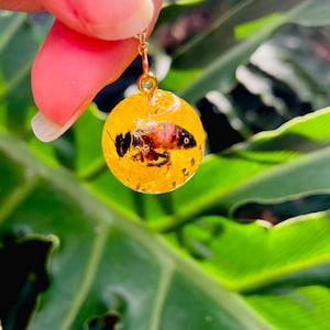 Puede incluir: Pendiente dorado con un colgante redondo de resina transparente. El colgante contiene una abeja preservada. La resina es amarilla y la abeja es marrón y negra. El pendiente está suspendido por un gancho dorado.