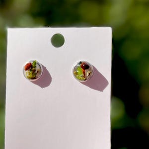 May include: A pair of small, round earrings with a clear resin setting. Each earring features a small, dried mushroom with green moss and a red cap.