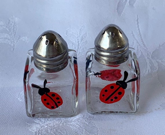 Mini Salt and Pepper Shakers Hand Painted With Cute Ladybugs Sure to Bring  You Joy. Makes Great Gift Idea for Friends and Family. 