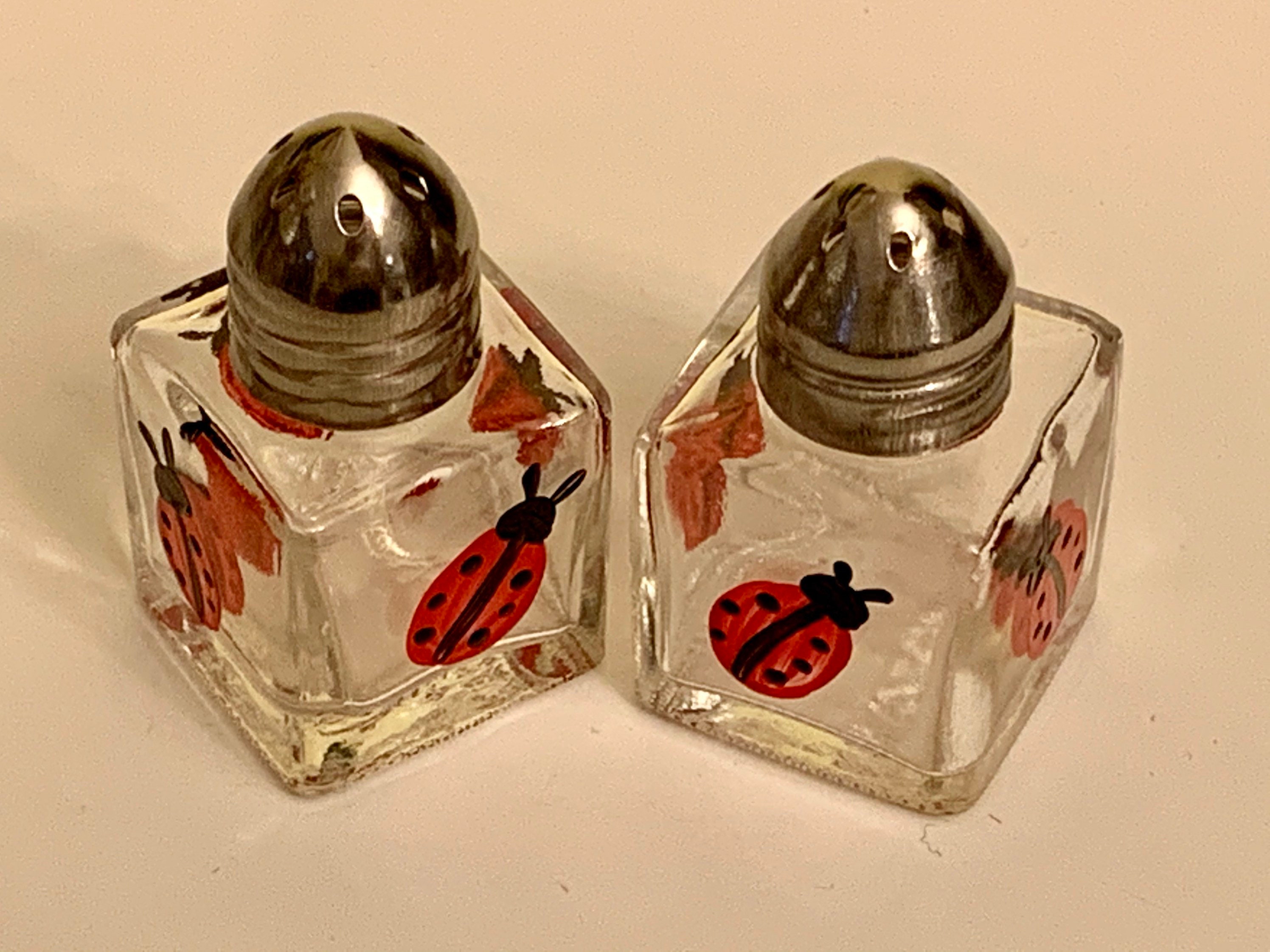 Mini Salt and Pepper Shakers Hand Painted With Cute Ladybugs Sure to Bring  You Joy. Makes Great Gift Idea for Friends and Family. 