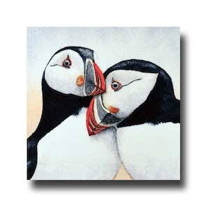 Puffin love, une superbe carte de voeux faite main de 5 x 5 pouces, imprimée à partir d'une aquarelle originale de Ray Stephenson, une carte très charmante.