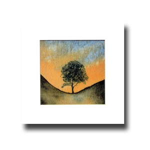 Sycamore Gap. Una splendida stampa giclée realizzata da un acquerello originale di Ray Stephenson.