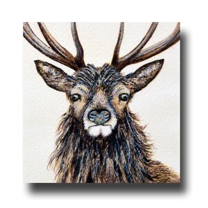 Le cerf, une charmante carte de voeux faite main de 5 x 5 pouces, imprimée à partir d'une peinture acrylique originale de Ray Stephenson. Moderne et chic.