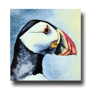 Macareux moine, une brillante carte de voeux faite main de 5 x 5 pouces, imprimée à partir d'une aquarelle originale de Ray Stephenson.
