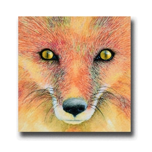 Mr Fox, une charmante carte de voeux faite main de 5 x 5 pouces, imprimée à partir d'une peinture acrylique originale de Ray Stephenson. Moderne et chic.