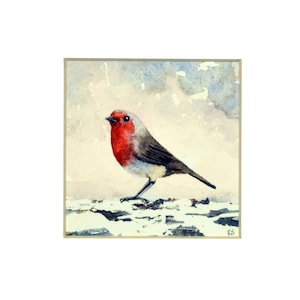 Robin Seno Rosso. Un bellissimo dipinto ad acquerello originale di Ray Stephenson.