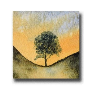 Sycamore Gap, Northumberland, een fantastische handgemaakte wenskaart van 5 x 5 inch, gedrukt op basis van een origineel aquarelschilderij van Ray Stephenson.