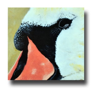 Mute Swan, une carte de voeux faite main de 5 x 5 pouces, imprimée à partir d'une peinture acrylique de Ray Stephenson, originale et unique.