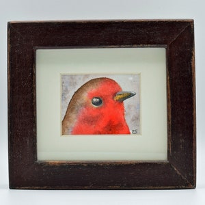 Mr Robin. A delightful framed original watercolour painting by Ray Stephenson.