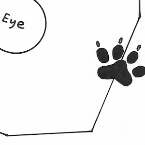 May include: A black ink drawing on a white background featuring a partial circular outline with the text Eye written inside. To the right, a black paw print with four toes and claws is positioned near a thin, straight black line segment.