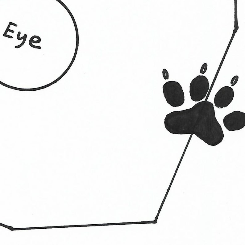 Wolf Fursuit Head Base Pattern and Tutorial Etsy
