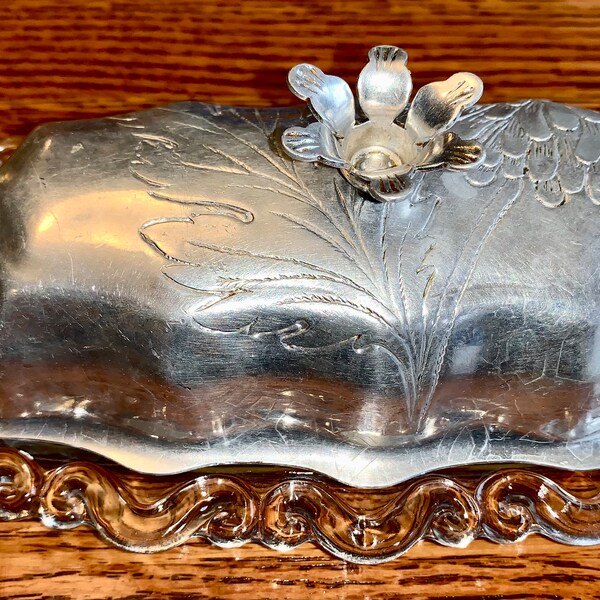 Antique Butter Dish Etsy