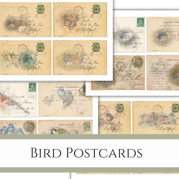Vogel veränderte Postkarten Junk Journal Ephemera