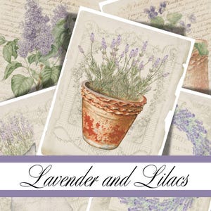 Peut inclure: Une collection de feuilles de papier présentant des illustrations botaniques de lavande violette dans un pot en terre cuite patiné et des grappes de lilas, sur un fond d'écriture cursive de style ancien et de dessins au trait décoratifs.