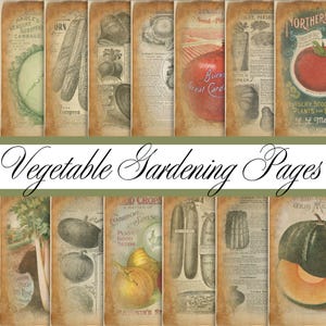 Vegetable Garden Junk Journal Pages: Vintage Seed Catalog Ephemera (Digital Download, A4 JPEG Files)