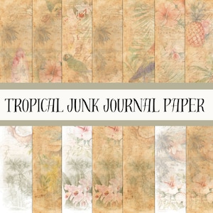 Artículos de revistas basura tropicales