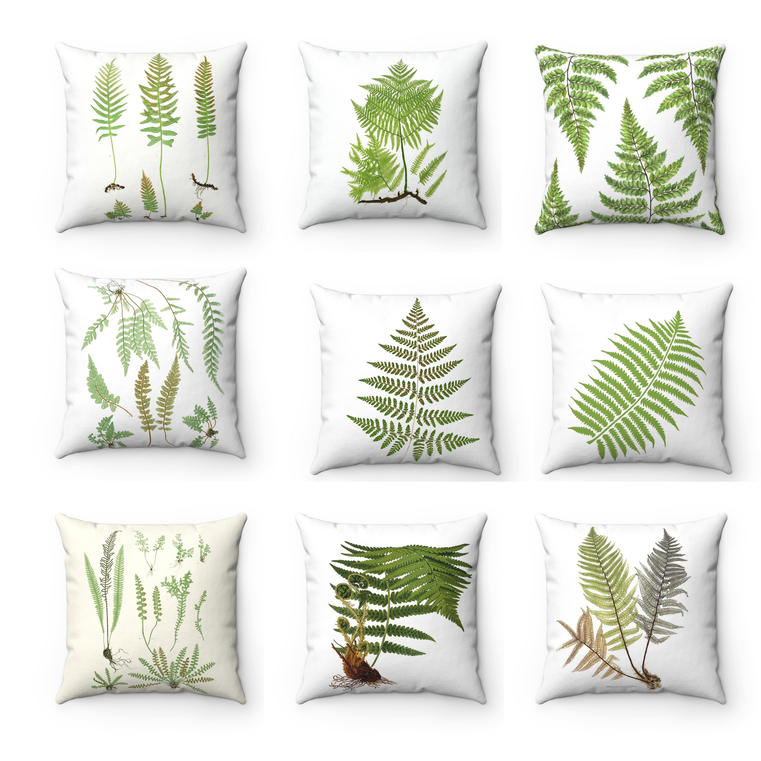 Fern Illustration Throw Pillow Cover, Green & White Botanical Print