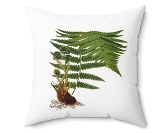 May include: White square throw pillow featuring a detailed botanical illustration of a green fern plant. The fern has large, textured leaves and a brown root system. The pillow is a decorative accent for a home.